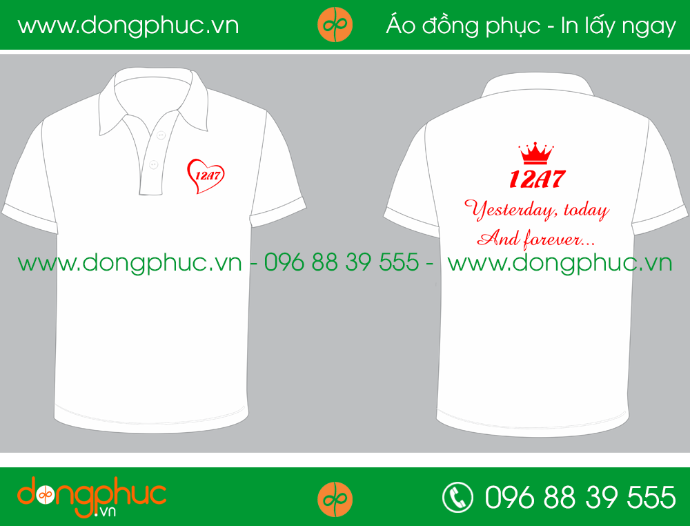 Áo phông đồng phục Lớp 12A7
